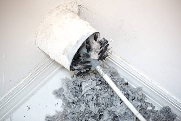 Air Duct Mold Removal in Watsonville, CA